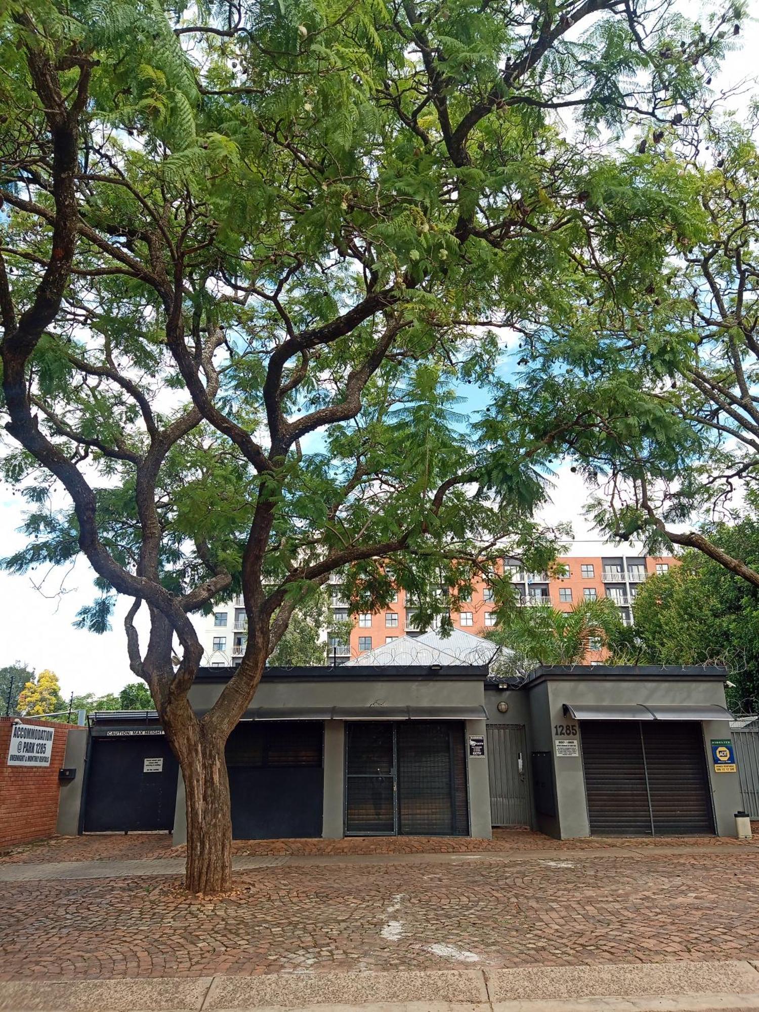 Accommodation@Park1285 Pretoria-Noord Exteriör bild